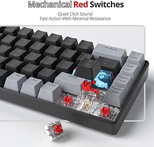 Owpkeenthy Portable 65% Percent Mechanical Gaming Keyboard, Mini Wired Ultra Compact RGB 68 Keys Office Keyboard with Red Switch Backlit for PC/PS5/XBOX(Dark/ 68 Red Switch)