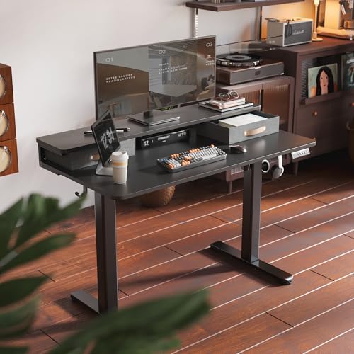 Seang 48''*24'' Electric Standing Desk with Storage, Black