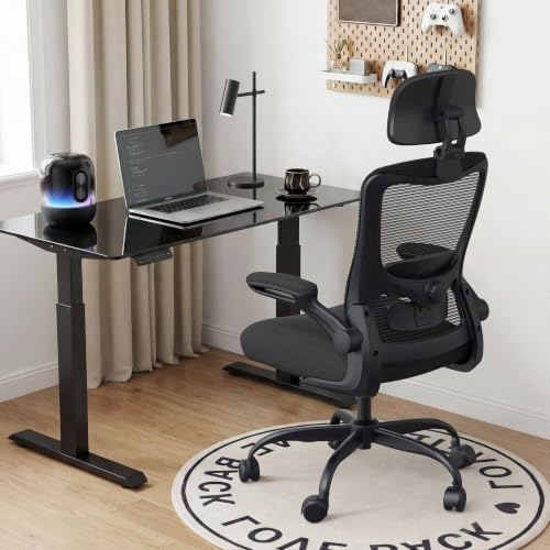 Ergonomic Office Chair for Long Hours, Adjustable Padded Lumbar Support for Lower Back Relief, 330 lb Capacity, Comfortable Computer Desk Chair for Home Office, Work & Study, Black/Black