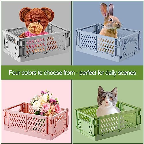 HUUSMOT 4-Pack Small Collapsible Plastic Storage Baskets, 9.8"x6.5"x3.8"