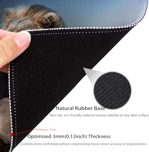 Majestic Lion at Rest Mouse Pad, Wild Animal Durable Desk Mat