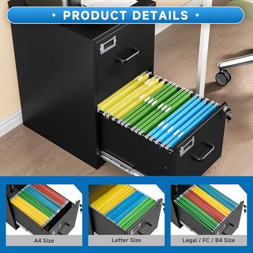 BYNSOE 2 Drawer File Cabinet with Lock Vertical Filing Storage Cabinet Office Home Steel Vertical File Cabinets for Letter Size File Cabinet Locked,Assembly Required