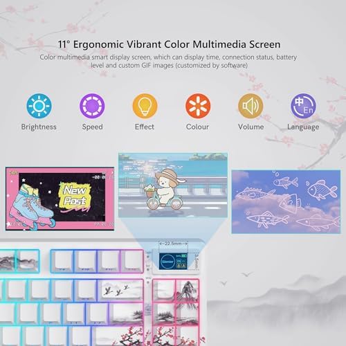 Womier 75% Wireless Mechanical Keyboard with Color Multimedia Screen