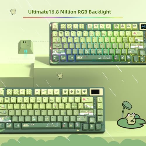 Womier SK80 75% Keyboard with Color Multimedia Display Mechanical Keyboard