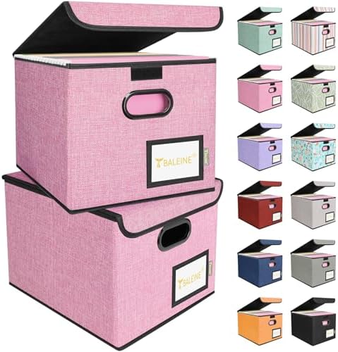 BALEINE File Organizer Box with Lid, Collapsible Hanging File Storage Box