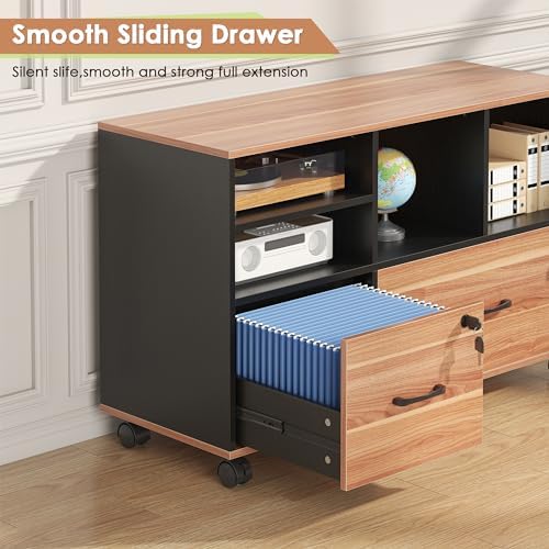 2 Drawer File Cabinet for Home Office, Lockable Rolling Filing Cabinet with Adjustable Shelves, Wood Lateral File Cabinet with Lock, Printer Stand Office Storage Cabinet, Rustic Brown & Black