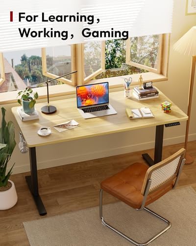 SANODESK One-Piece 1'' Thick Height Adjustable Standing Desk 60''x24''