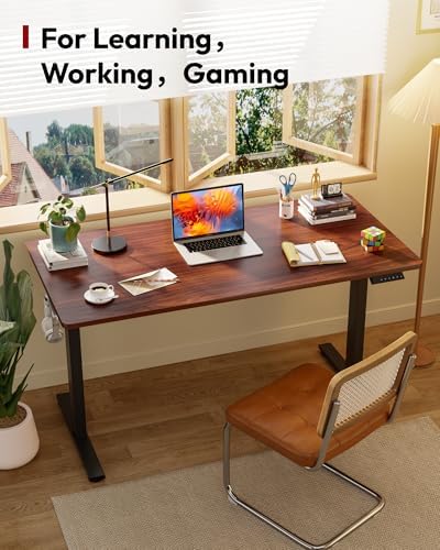 SANODESK One-Piece 1'' Thick Height Adjustable Standing Desk 60''x24''