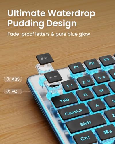 Wired Keyboard with Blue Backlight Pudding Keycaps, Full Size, Black