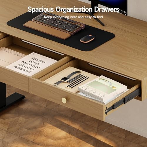 ONBRILL Electric Standing Desk with 3 Drawers, 55x24 Height Adjustable,