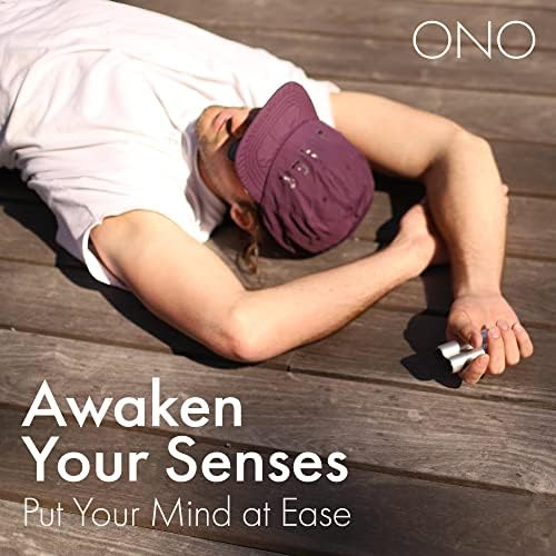 ONO Roller - Handheld Fidget Toy for Adults | Help Relieve Stress, Anxiety, Tension | Promotes Focus, Clarity | Compact, Portable Design (Grey, Full Size - Aluminum)