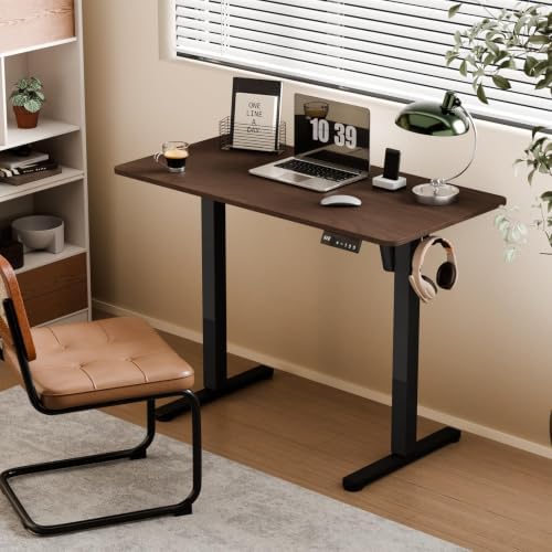 Electric Standing Desk, 40" x 24" Small Sit Stand Desk, Dark Walnut