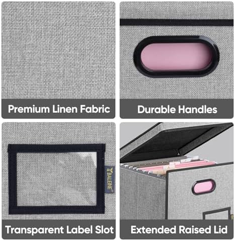 BALEINE File Organizer Box with Lid, Collapsible Hanging File Storage Box