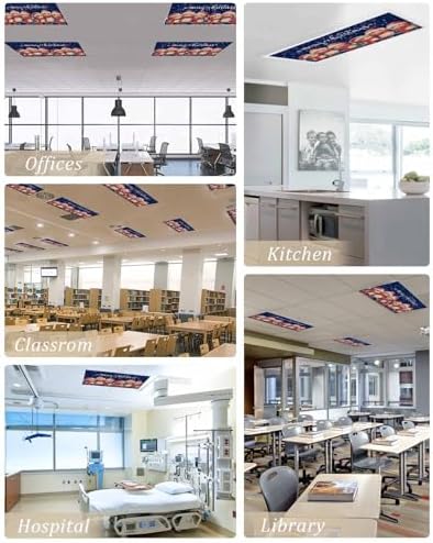 Christmas Blue Magnetic Fluorescent Light Covers for Ceiling Lights 2 x 4 Feet,Vintage Owl Snowflakes Watercolor Grey Office Classroom Kitchen Drop Ceiling Light Covers Filters Shade Panel 4 Packs