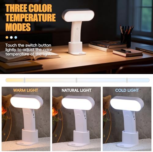 oneleaf EU AAA Grade Eye-Caring Desk Lamp, Stand 2-in-1 Dimmable LED Light (Oval) (Oval)