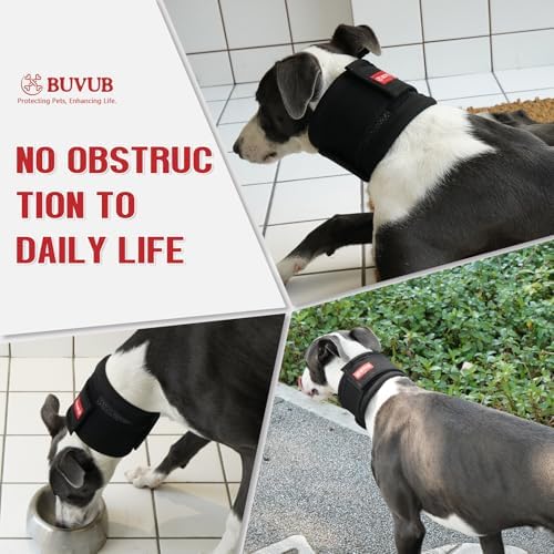 Adjustable Dog Neck Brace for Neck Pain & Injury Relief - Soft & Comfortable Support Collar for Dogs for Recovery After Surgery or Injury(Small)
