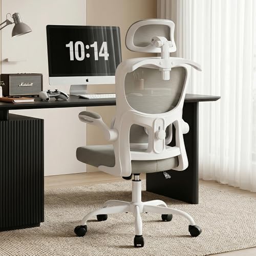 AreShark Ergonomic Office Chair, Desk Chair with Adjustable Lumbar Support