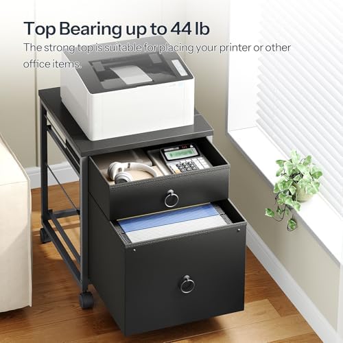 HOOBRO File Cabinet, 2-Drawer Vertical Mobile Office Cabinet, Rolling Printer Stand, for A4/Letter Size Files, Nonwovens Drawer, for Home Office, Black BB21WJ01