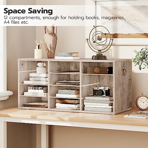 HOOBRO Countertop Mail Sorter Organizer, Wooden Literature Organizer, Student Mailbox for Classroom, Desktop Bill Organizer for Office Home School, 12 Compartments, Greige BG43WF01