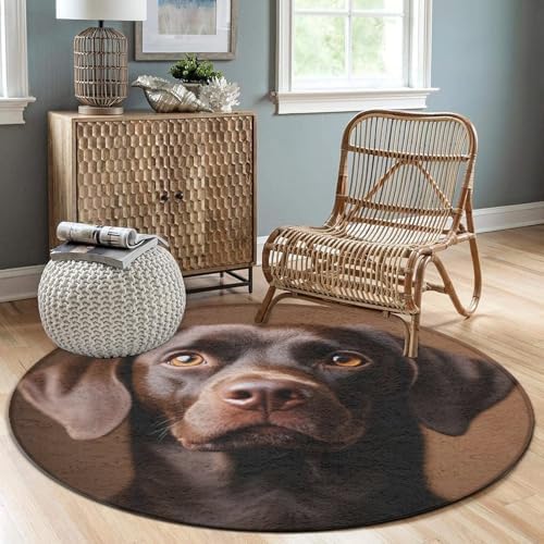 Soft Round Yoga Carpet, Large Home Decor Mat, Non Slip Machine Washable Kitchen Office Circle Rug Chocolate Lab Brown Labrador Dog Print