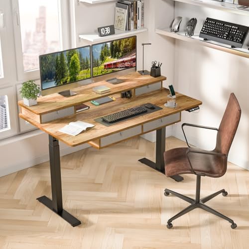 Kingant Electric Standing Desk with 4 Drawers, Height Adjustable 55"x 30"