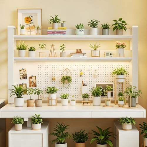 Desktop Hutch Bookshelf, 2-Tier Metal Desk Shelf for Top of Desk