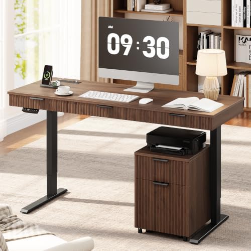 ONBRILL 55" Electric Standing Desk with File Cabine, Sit to Stand, Walnut