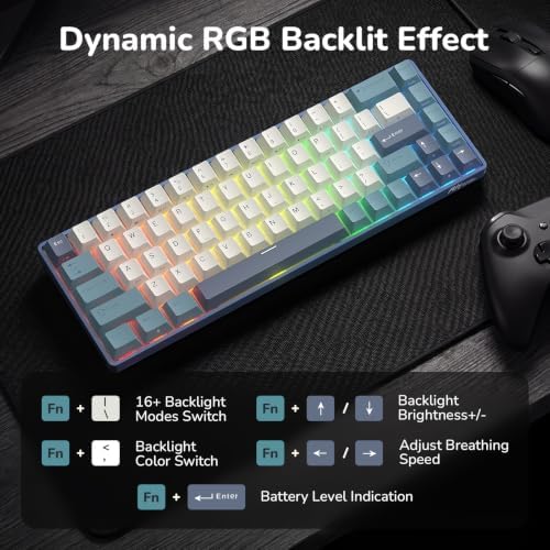 RK ROYAL KLUDGE RK68 65% RGB Wireless Mechanical Keyboard for Gaming, Work
