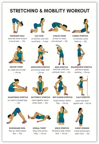 Stretching & Mobility Workout Poster, 16 Illustrated Full-Body Flexibility Chart with Hold Timing Guides, Bodyweight Daily Stretch Reference for Post-Workout Recovery & Joint Mobility Improvement(8x12inchs，Unframed)