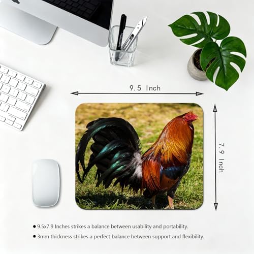 9.5x7.9 Inch Office/Gaming Mouse Pad, Vibrant Rooster with Iridescent Feather in Grass Colorful Farm Animal, Cute Anti-Slip Mat for Desk Decor