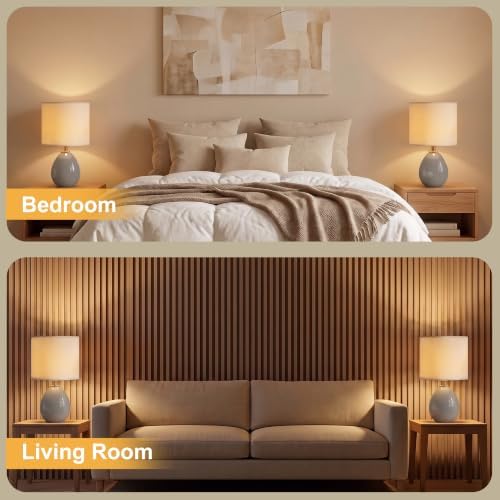 Dawnwake 17.7" Ceramic Table Lamps Set of 2 for Living Room Bedroom, Grey