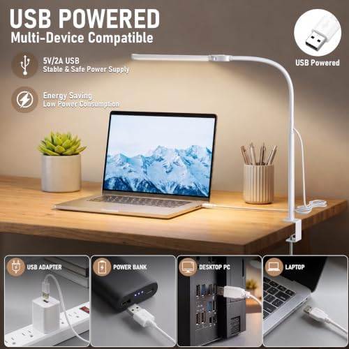 Voncerus LED Desk Lamp for Home Office, Double Head Desk Light with Clamp