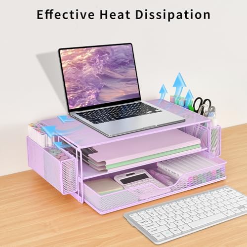 AUPSEN Computer Monitor Stands Riser，2-Tier Desk Organizers and Accessories, Office Desk Accessories Organizer with Drawers and 2 Pen Holder for Office Supplies (Purple)