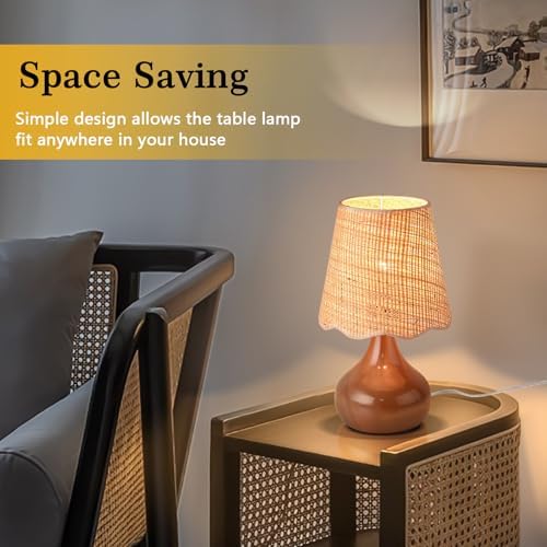 Ziqqeelam Brown Small Bedside Table Lamp for Bedroom, Farmhouse Bedroom Lamps for Nightstand,