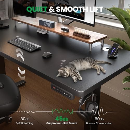 Black 47x24 in Electric Standing Desk, 0.8 Inch Thick Tabletop