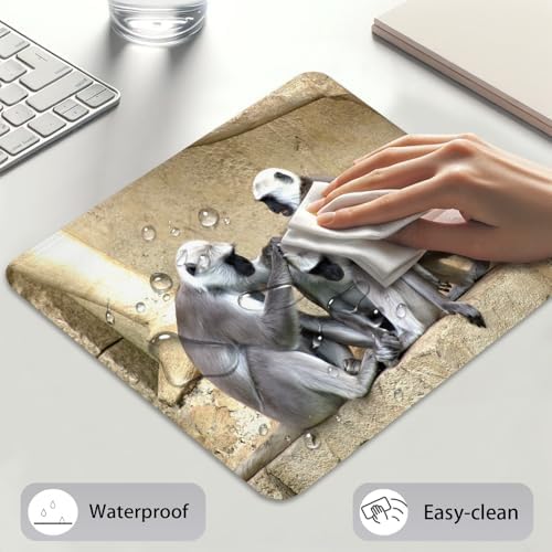 Gray Langur Monkeys Grooming Wildlife Primate Mouse Pad, Nature Desk Mat