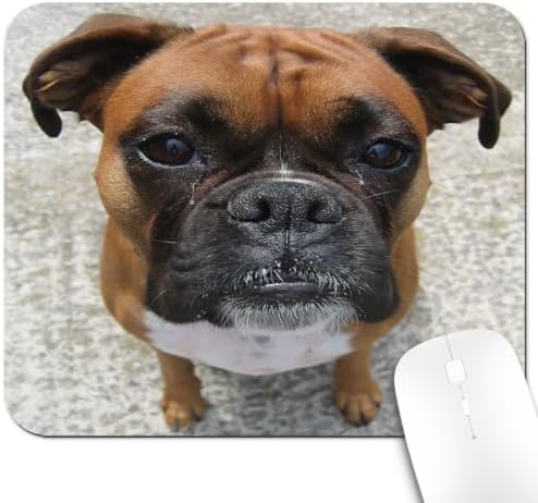 9.5x7.9 Inch Office/Gaming Mouse Pad, Adorable Boxer Dog with a Sad Expression Lovely Puppy Pet Funny Face Close-up Cute Anti-Slip Mat for Desk
