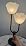Lightdot Black Flower Table Lamp Dimmable Floral Modern Nightstand Lamp
