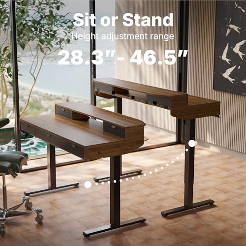 HUANUO 48 x 24 Inch Electric Standing Desk with 4 Drawers, Walnut