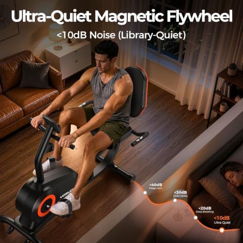 YOSUDA Recumbent Exercise Bike for Home，Magnetic Staionary Bike for Seniors