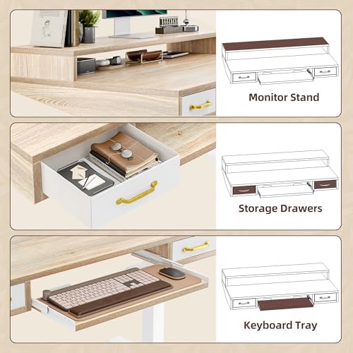 TIQLAB Standing Desk with Two Drawers, Stand Up Standing Desk Adjustable Height, Electric Sit Stand Table with Storage Shelf and Splice Board, with LED Light, 55 * 28 inch, Maple