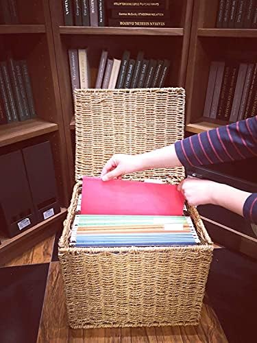 URFORESTIC Seagrass File Filing Cabinet File Box Organizer | Collapsible Letter Size Hanging File Box Organizers with Lid | Decorative Seagrass Filing & Storage Office Box | Letter Size (Natural)