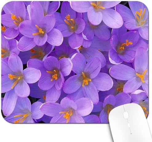 9.5x7.9 Inch Office/Gaming Mouse Pad, Purple Crocus Flowers in Full Bloom Romantic Floral, Cute Anti-Slip Mat for Desk Decor
