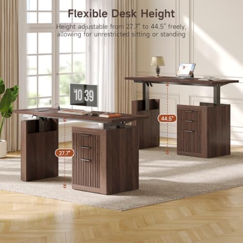 ONBRILL 55" Electric Standing Desk with File Cabinet & Storage, Walnut