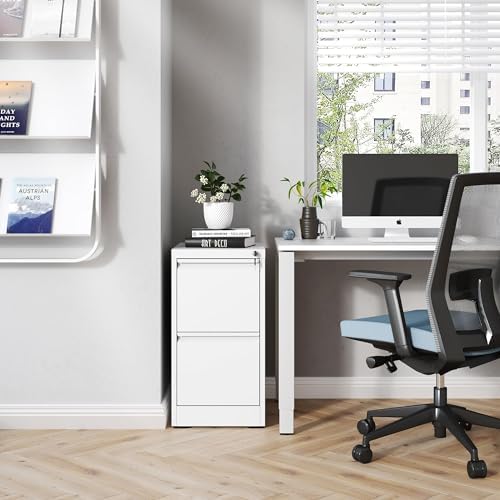 2 Drawer File Cabinet with Lock,Metal File Cabinet for Home Office