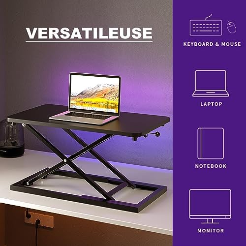Decoholic 24 inch Height Adjustable Standing Desk Converter（Black）