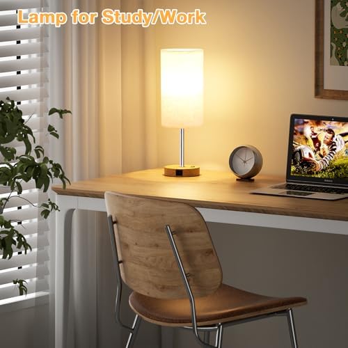 Dicoool 17.4" Bedside Lamp for Bedroom - Dimmable Touch, USB A+C, AC Outlet