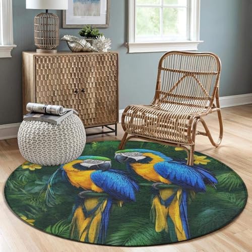 Room Sofa Yoga Soft Round Carpet, Home Decor Non Slip Kitchen Office Circle Rug, Machine Washable Modern Round Area Rug Parrots Art, 24inch