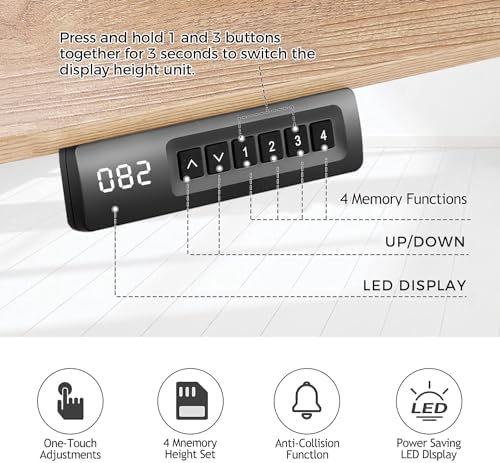 55'' × 24'' Height Adjustable Electric Standing Desk with Wheels