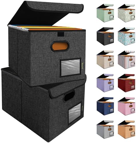 BALEINE File Organizer Box with Lid, Collapsible Hanging File Storage Box